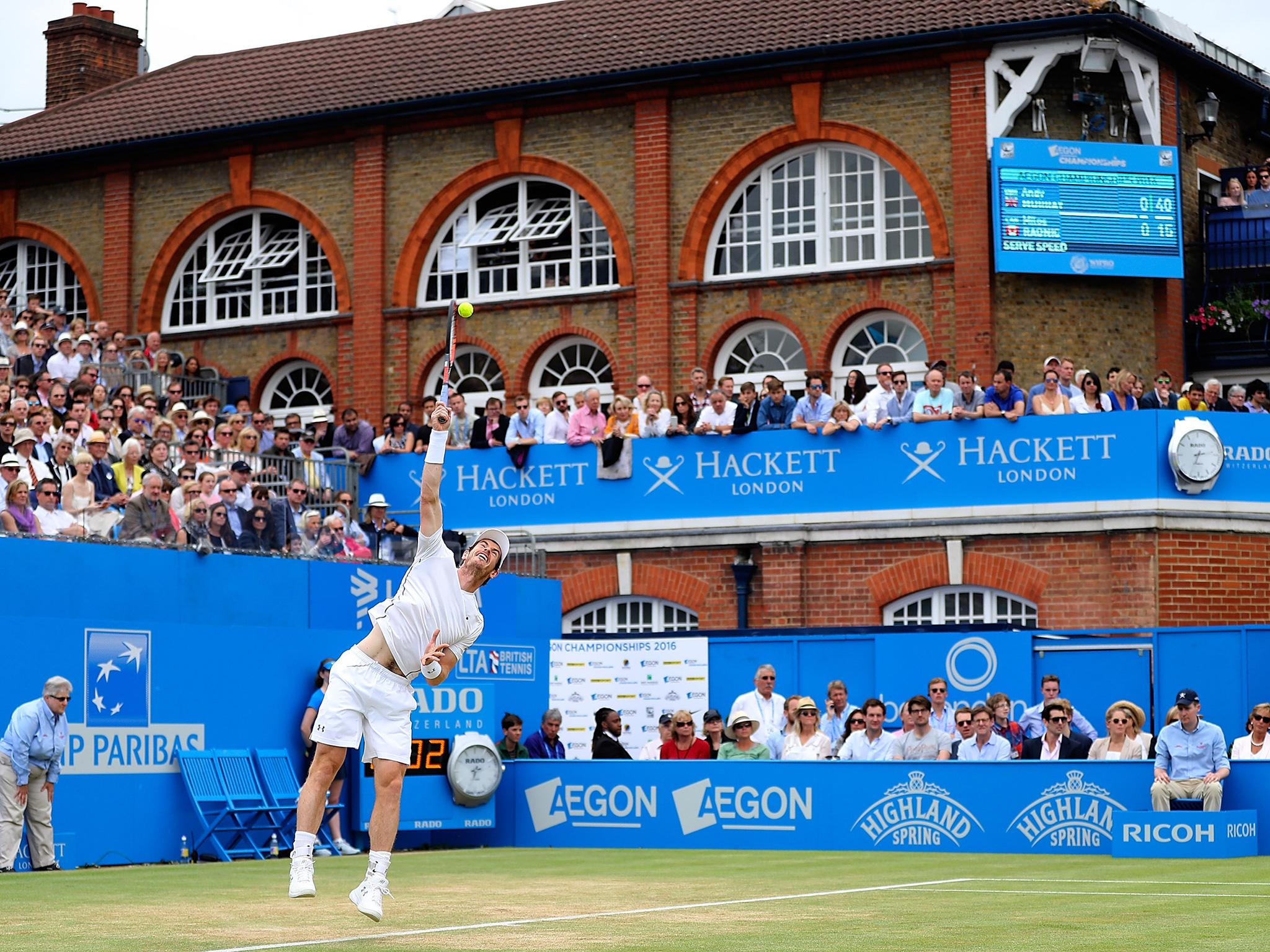 Murray serving in the match's final game at Queen's