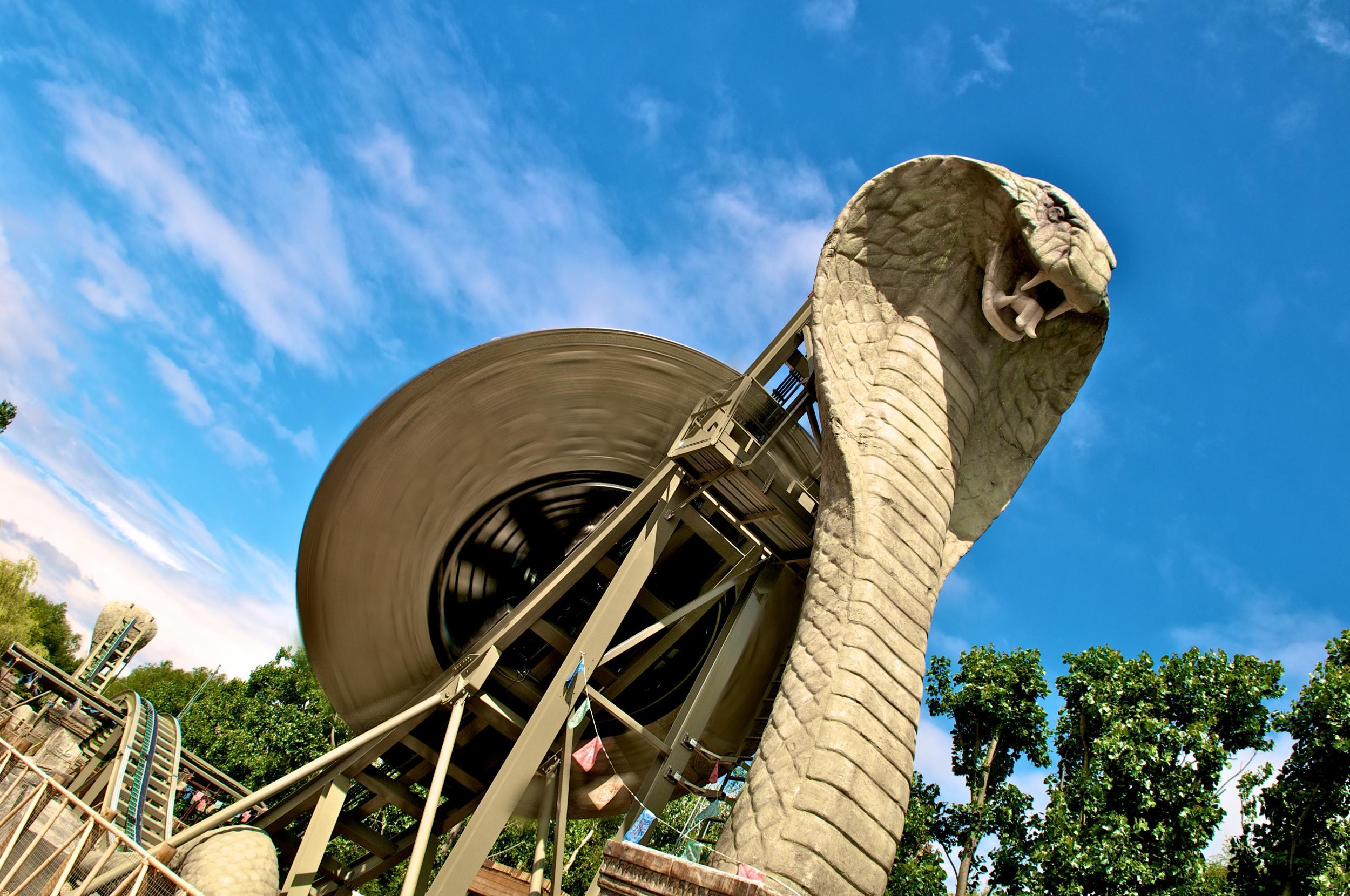 The stone head of Wild Asia’s signature Kobra ride eyeballing over the fence like an aggrieved neighbour