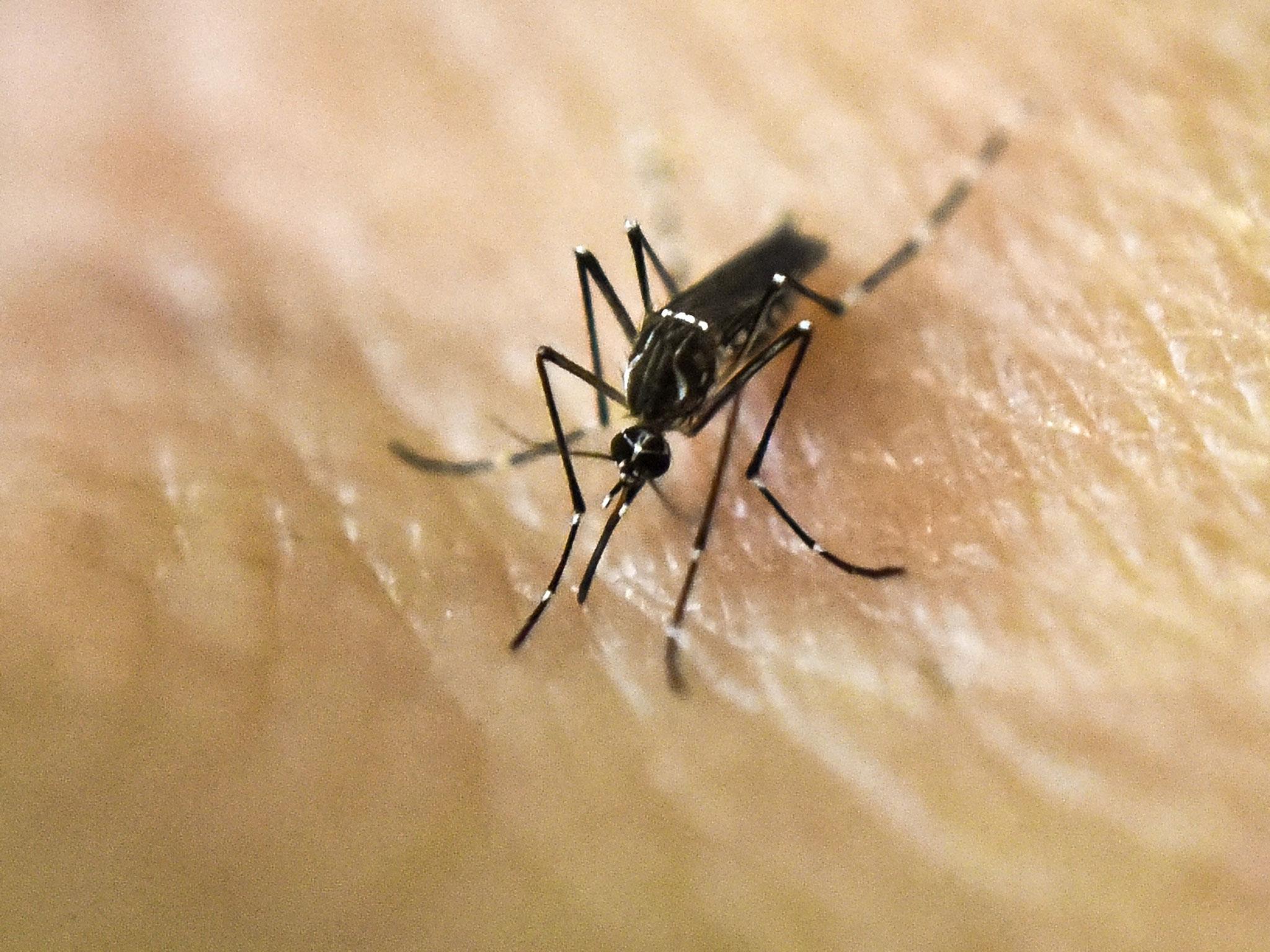 It is not known if Zika was the sole cause of the person's death