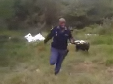 Policeman flees snake screaming after being led to it by his dog