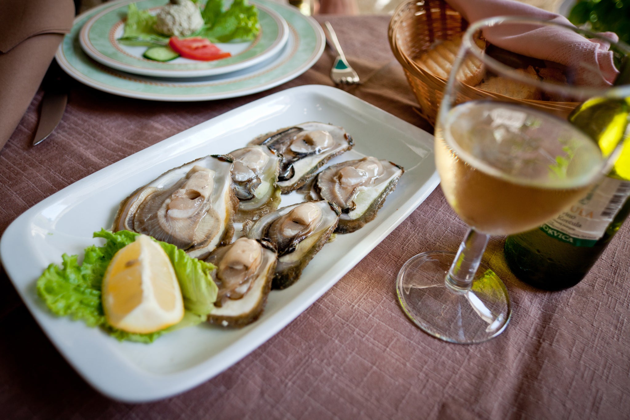Croatian oysters and wine