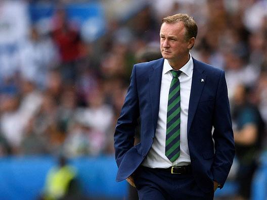 Michael O'Neill was proud of the effort and determination shown by his Northern Ireland players (Getty)