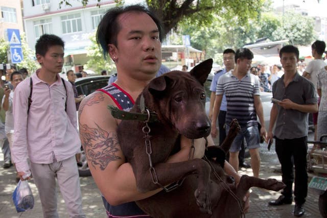 A dog lover activist carries a dog which he bought from a dog seller leaves a market during a dog meat festival in Yulin in south China's Guangxi Zhuang Autonomous Region, Tuesday, June 21, 2016