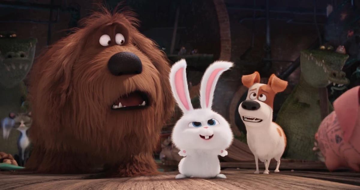 The Secret Life Of Pets Review With The Bar Set So High This Is A Relative Disappointment The Independent The Independent