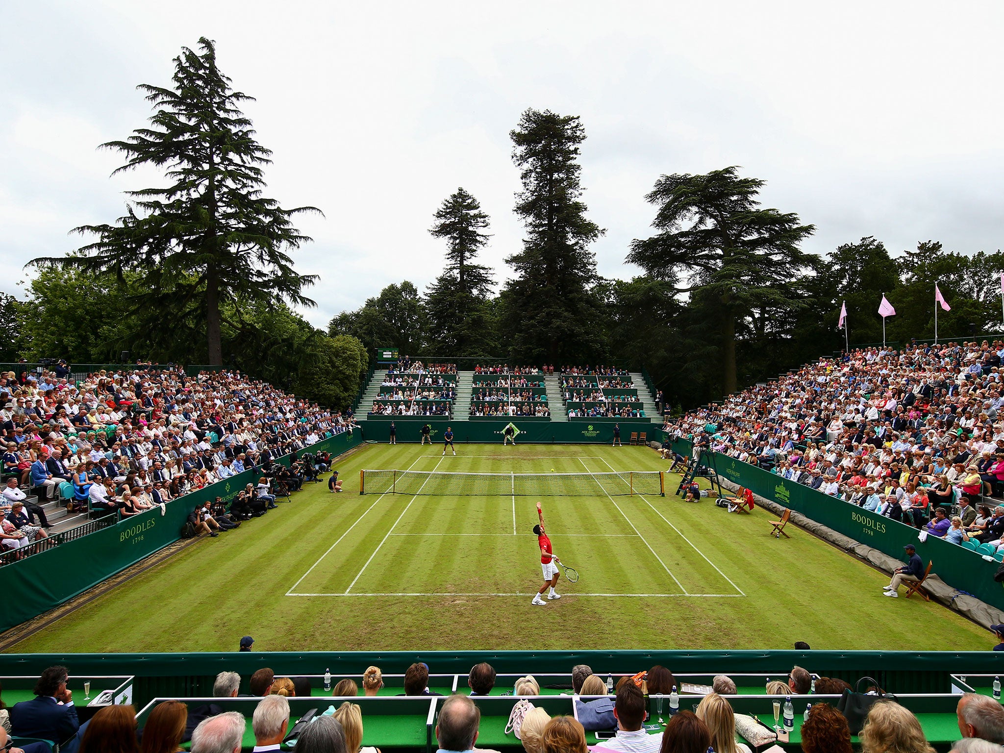 Novak Djokovic in action on Wednesday night