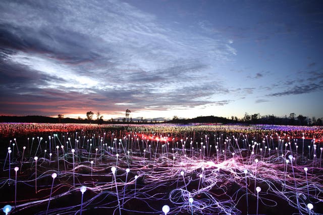 See Australia's Red Centre lit up by Bruce Munro's installation