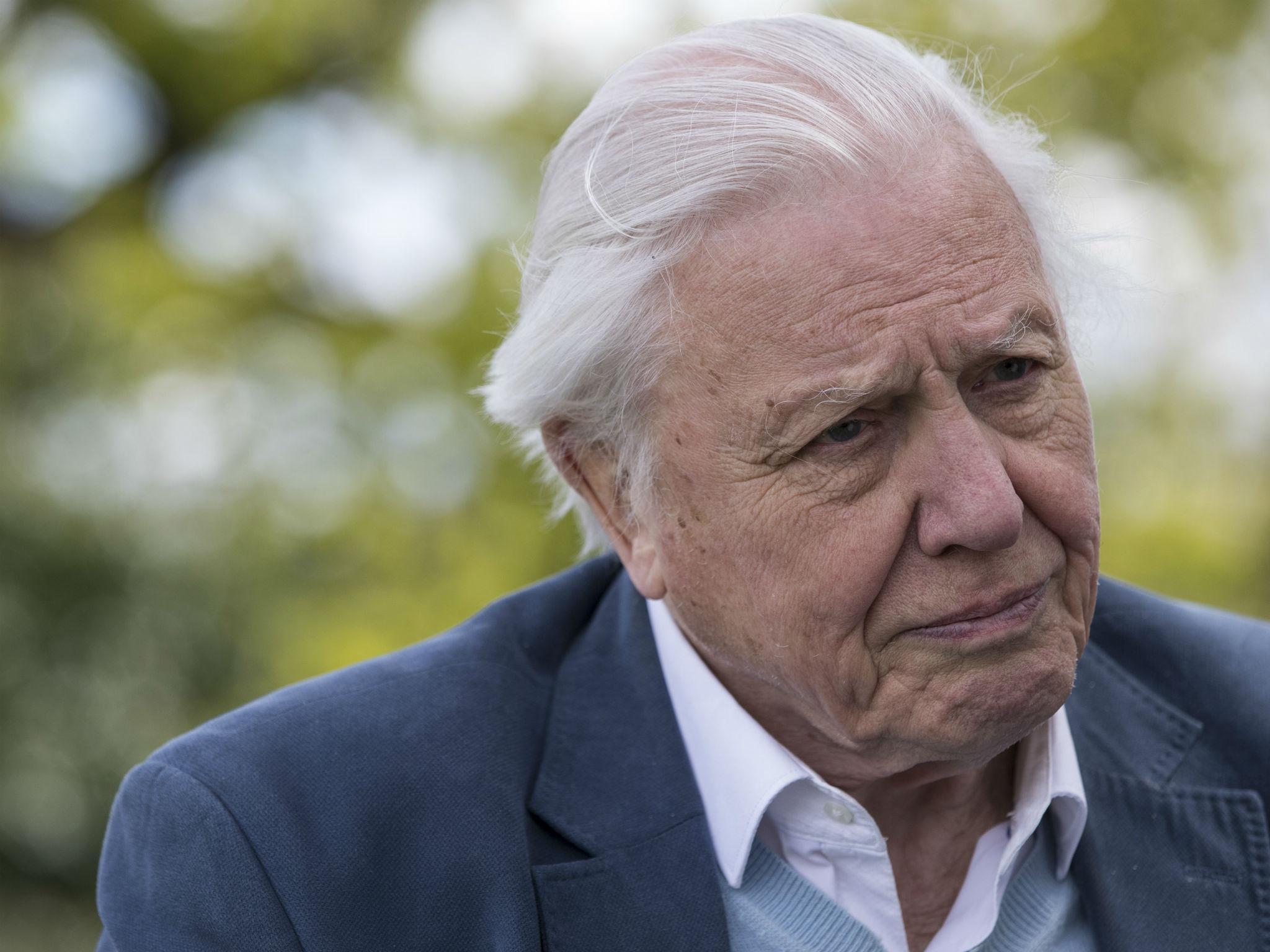 Sir David Attenborough says he has hope for the environment