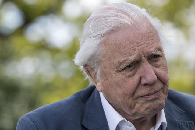Sir David Attenborough says he has hope for the environment