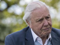 David Attenborough says Brexiteers are spitting in Europeans’ faces