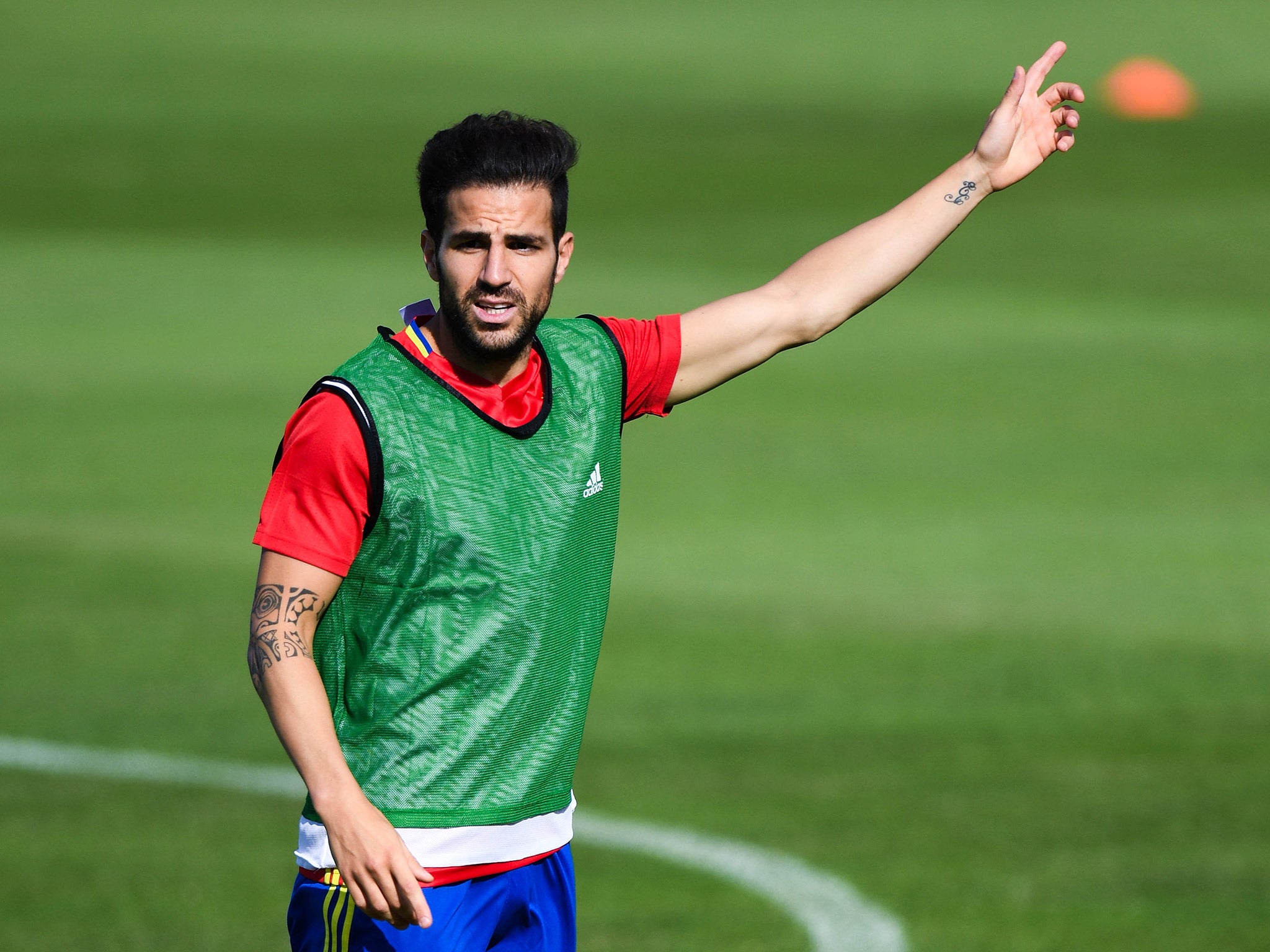 Cesc Fabregas has labelled the decision to leave the EU as 'very negative and damaging' for the Premier League