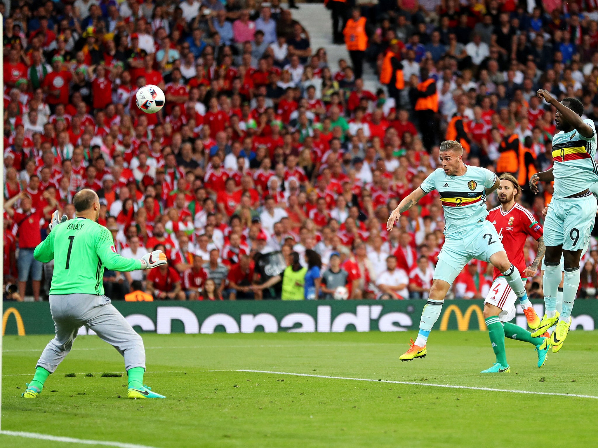 Toby Alderweireld heads Belgium into the lead against Hungary