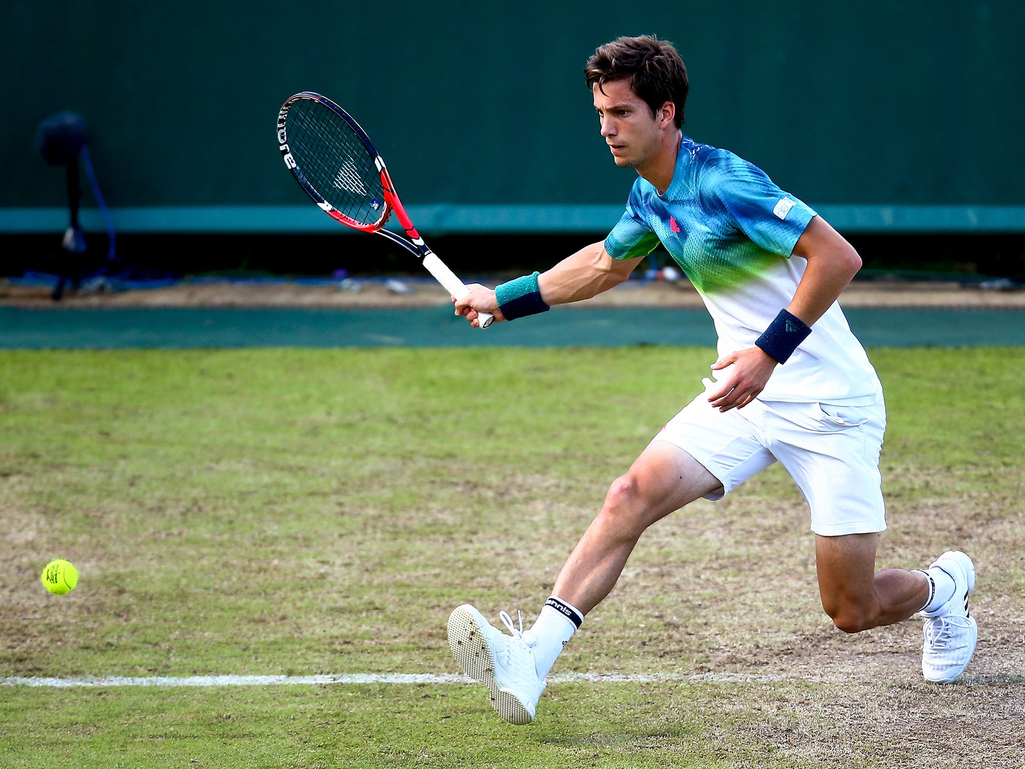 Aljaz Bedene