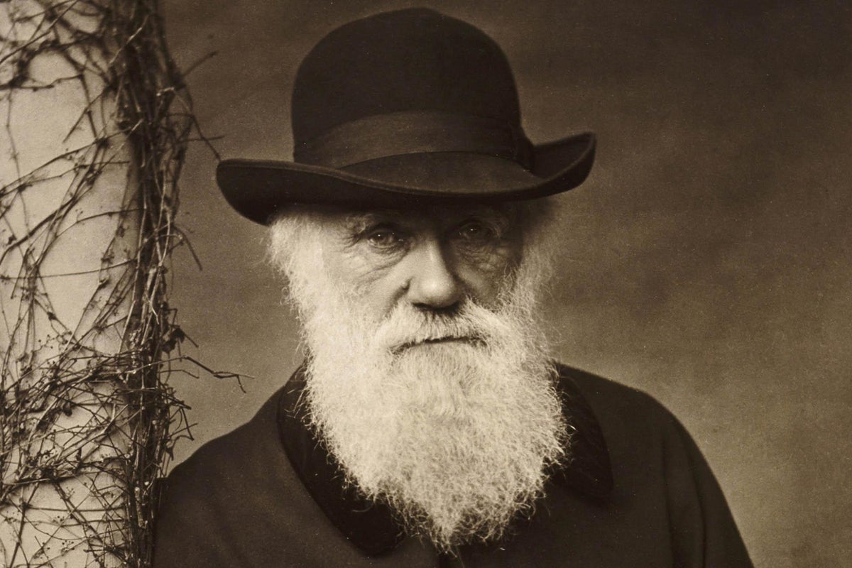 Altruism has more of an evolutionary advantage than selfishness ...