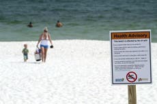 Florida beaches shut down swimming due to fecal bacteria in water