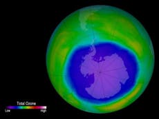 Hole in ozone layer could be closed by the middle of the century