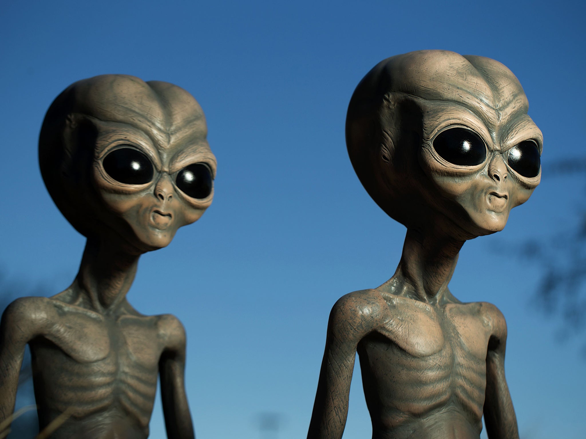 World UFO Day: There's life out there but it will not be what you