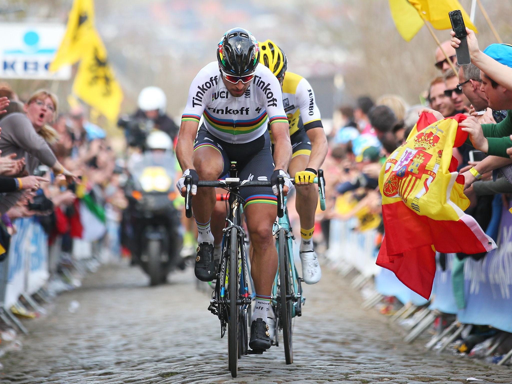 Sagan has excelled in the rainbow jersey of World Champion