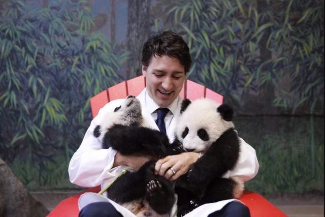 Justin Trudeau has captured the minds and hearts of Canadians (Twitter / Justin Trudeau)