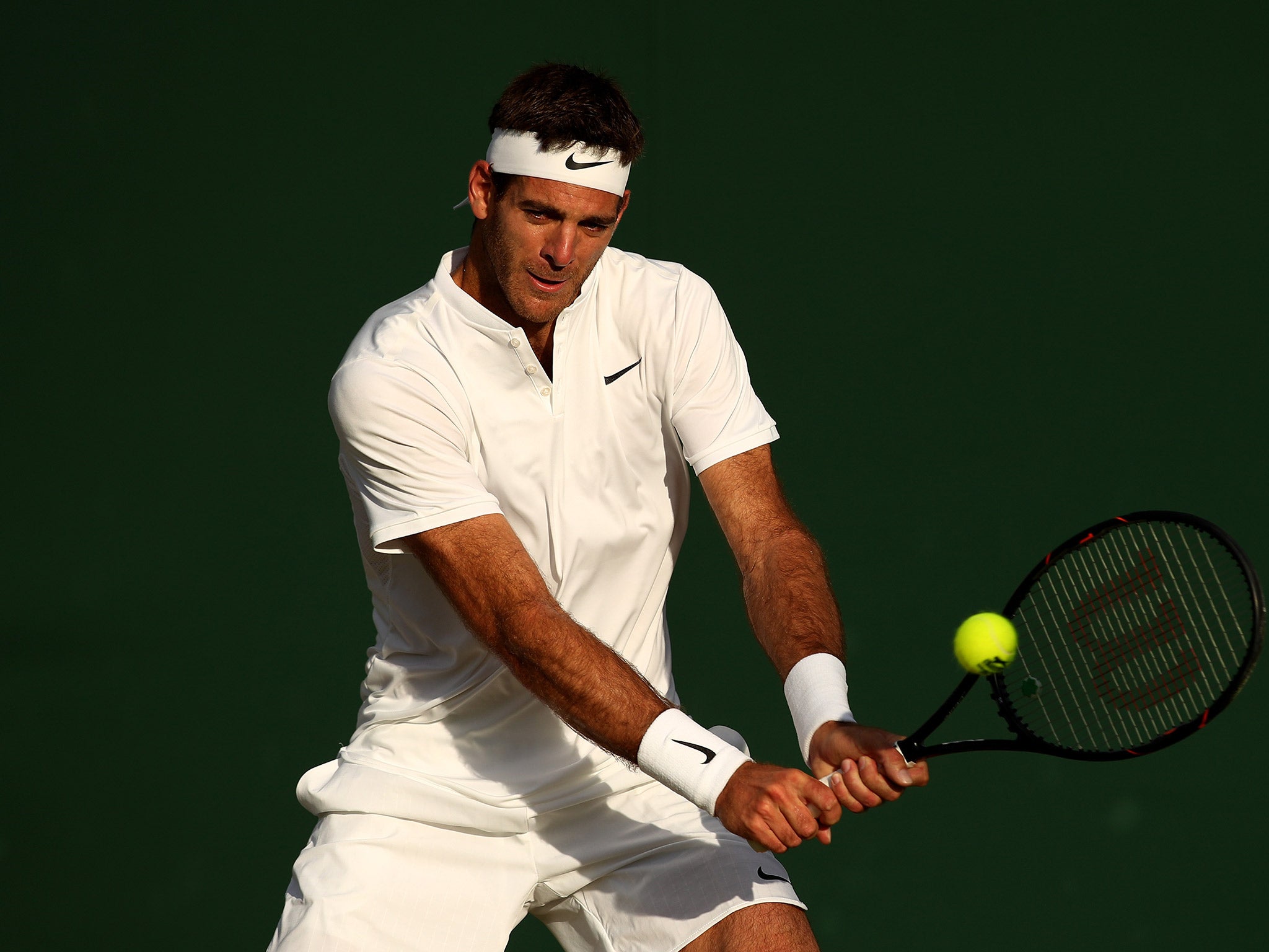 Juan Martin Del Potro's campaign came to an end in defeat by Lucas Pouille