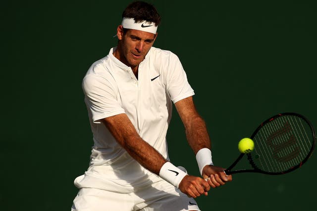 Juan Martin Del Potro's campaign came to an end in defeat by Lucas Pouille