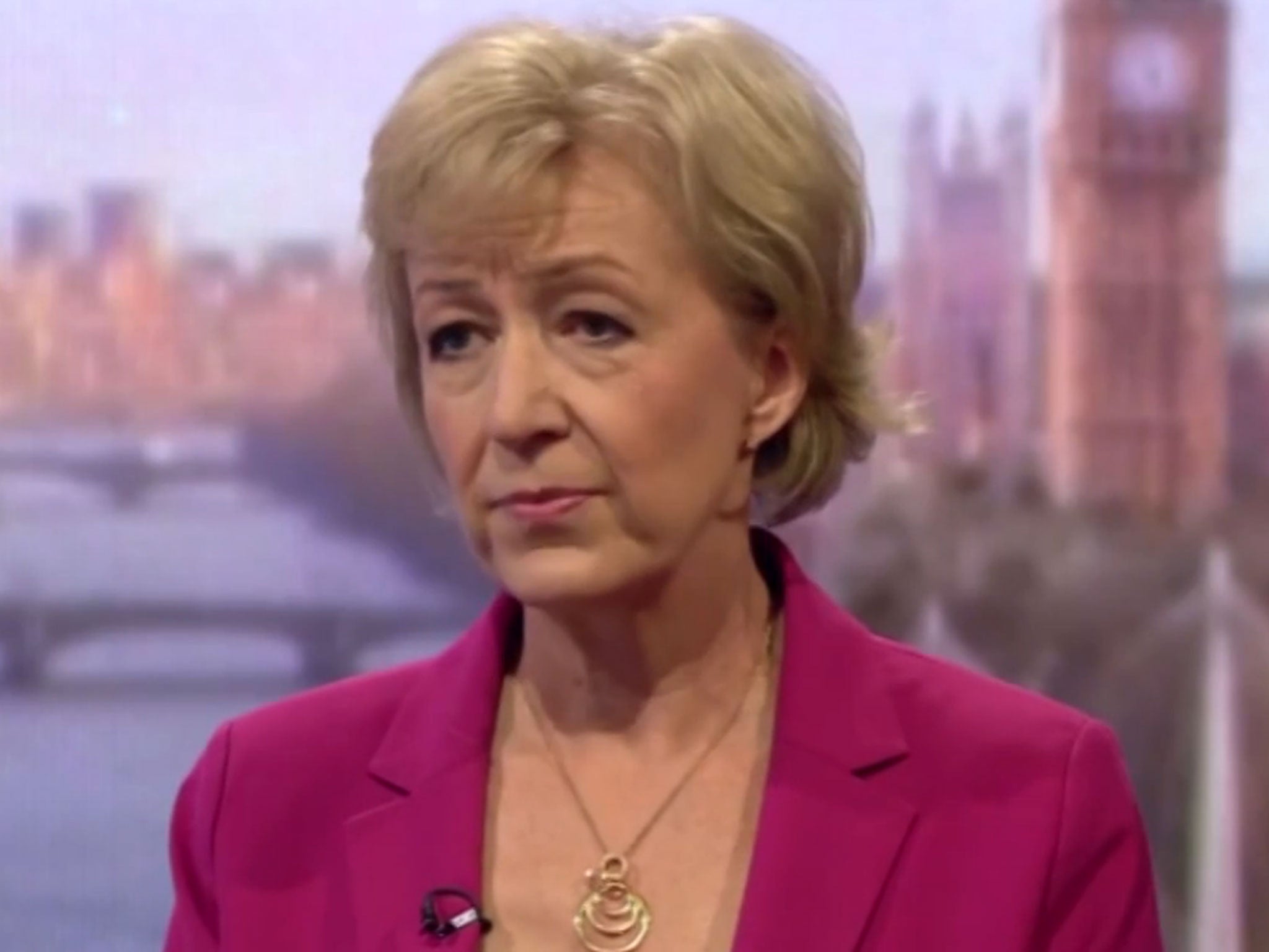 Andrea Leadsom Under Pressure To Come Clean Amid Offshore Tax Havens Claims The Independent 