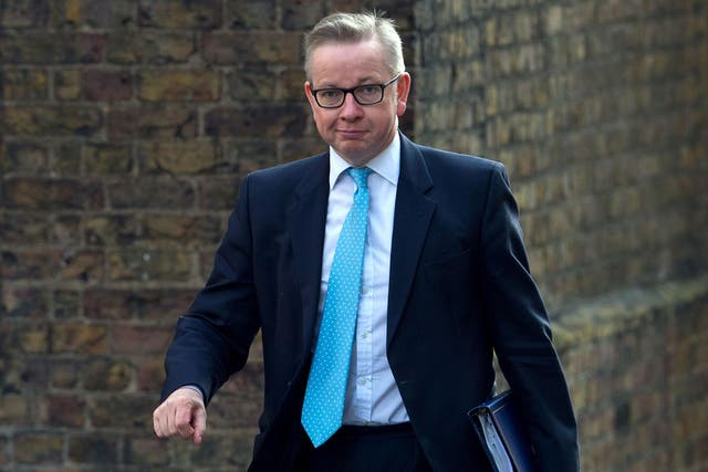 It is in the 'national interest' to keep Andrea Leadsom off the ballot, Michael Gove's campaign manager said