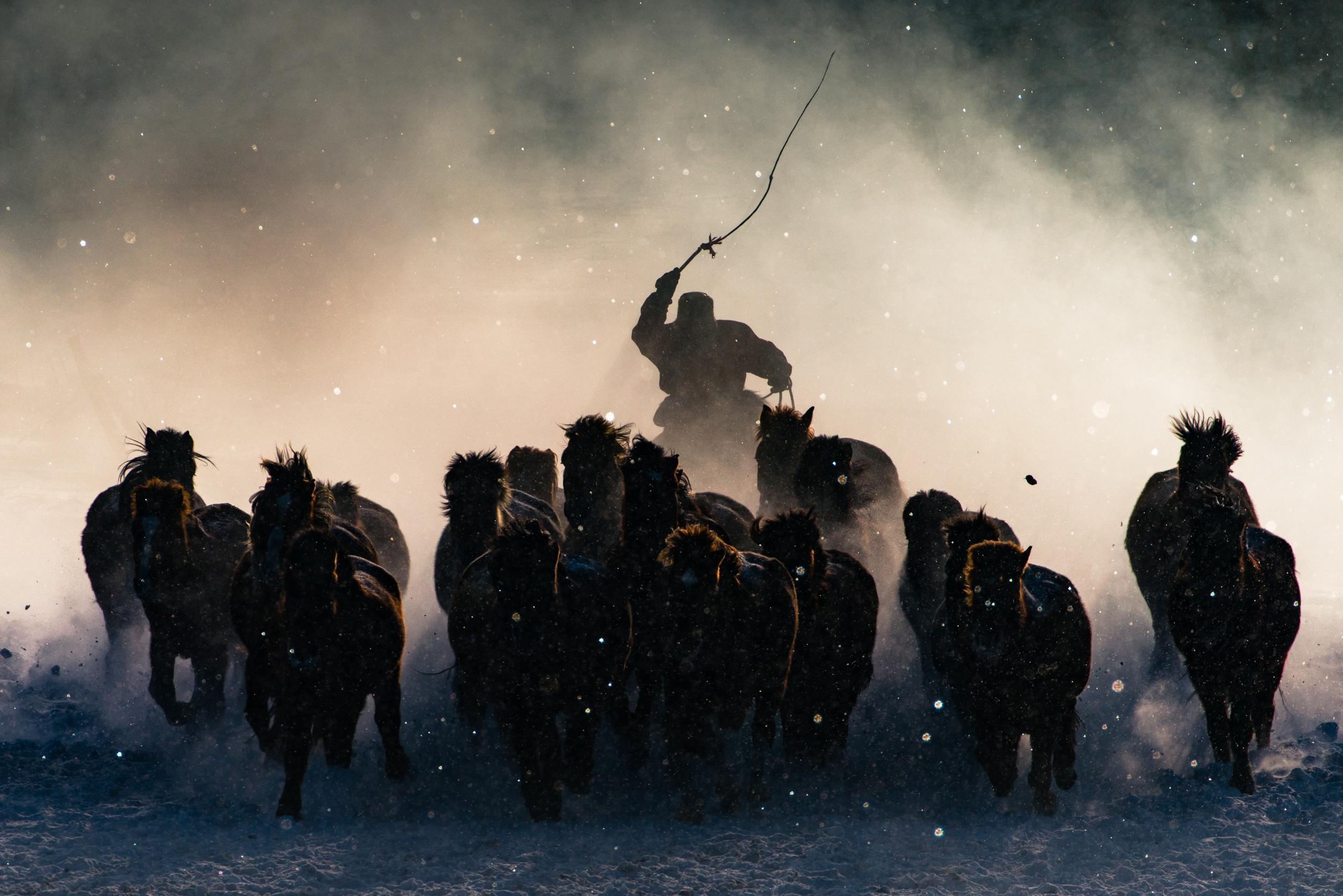 'Winter Horseman' by Travel Photographer of the Year winner Anthony Lau