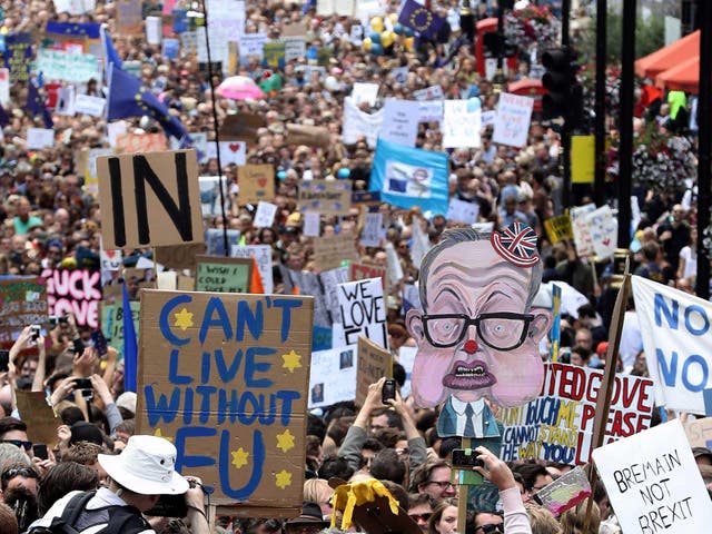 Tens of thousands of anti-Brexit protesters marched through London in the wake of the referendum result last year