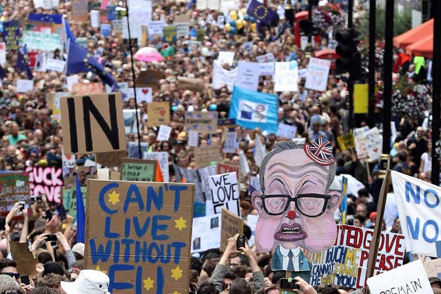 Tens of thousands of anti-Brexit protesters marched through London in the wake of the referendum result last year