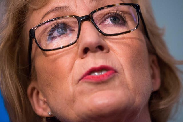 Mrs Leadsom, who was a prominent figure in the Leave campaign, said that she wanted to take Britain out of the EU as quickly as possible 