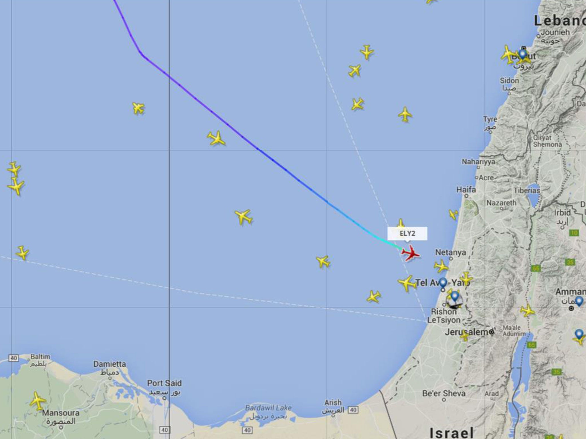 The El Al plane continued to Ben Gurion Airport in Tel Aviv after the alert.