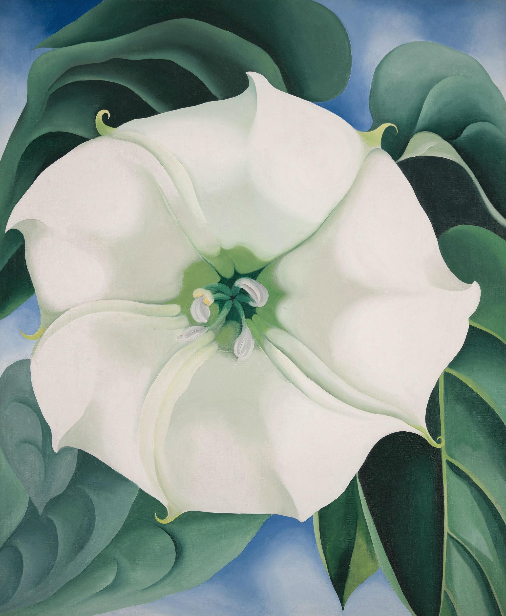 Georgia O’Keeffe, Jimson Weed/White Flower No. 1, 1932 (2016 Georgia O&amp;#039;Keeffe Museum/DACS, London)