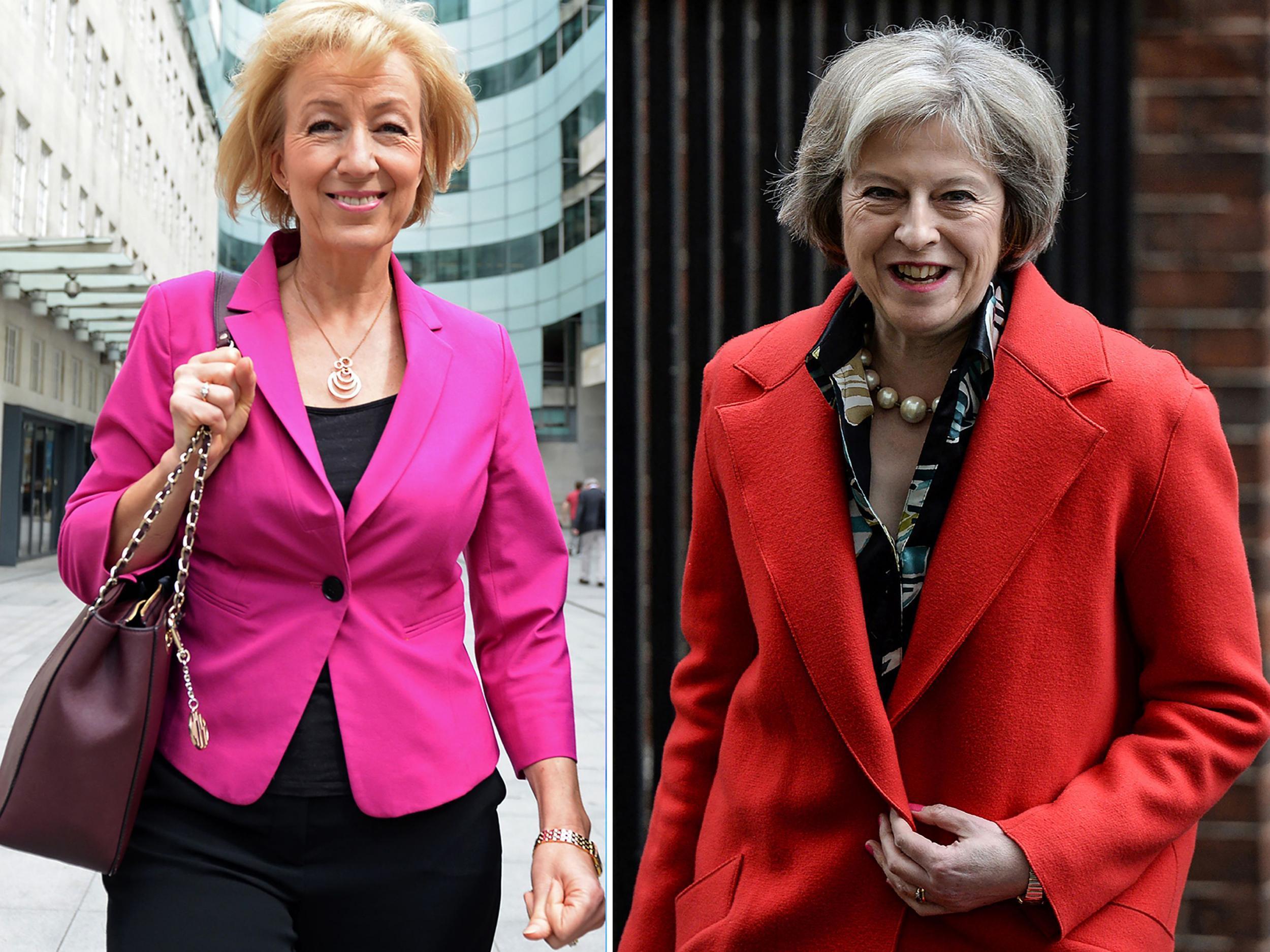 Andrea Leadsom and Theresa May hope to convince Tory members that they can lead the country