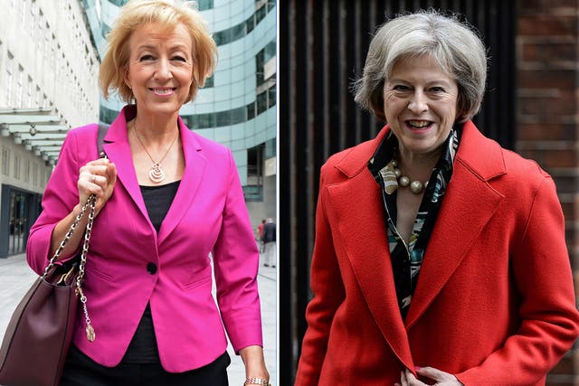 Andrea Leadsom and Theresa May hope to convince Tory members that they can lead the country