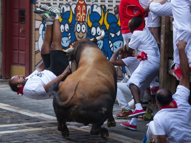 A participant is tossed by a Cebada Gago fighting bull on the second day of the San Fermin bull run 2016