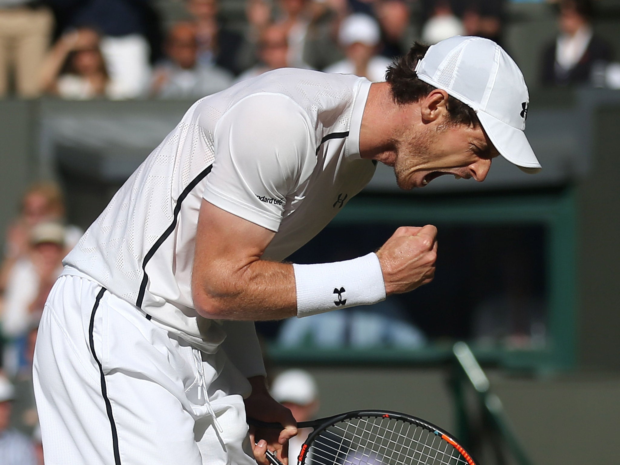 Andy Murray celebrates his victory over Tomas Berdych