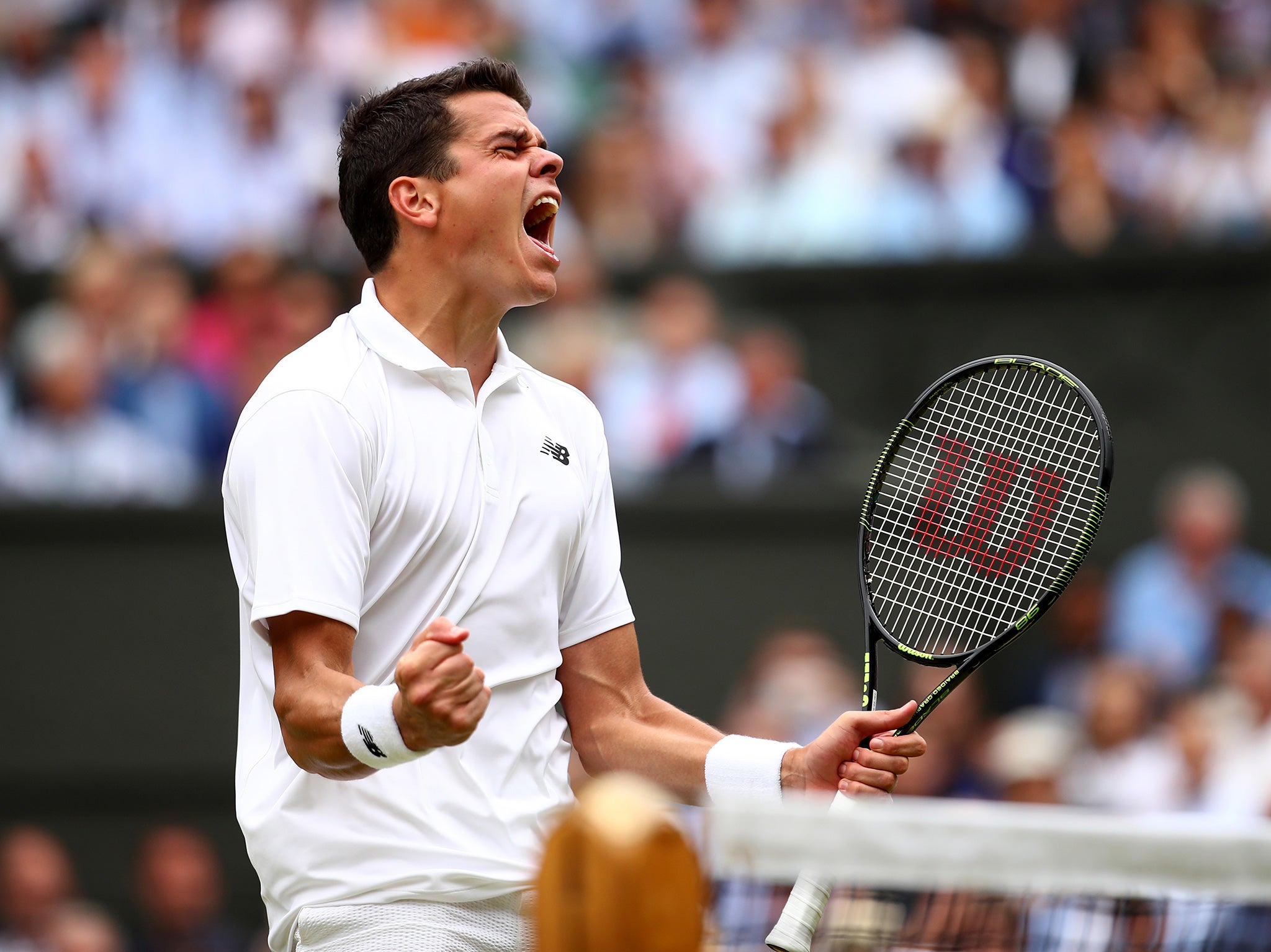 Raonic celebrates his semi-final victory over Federer