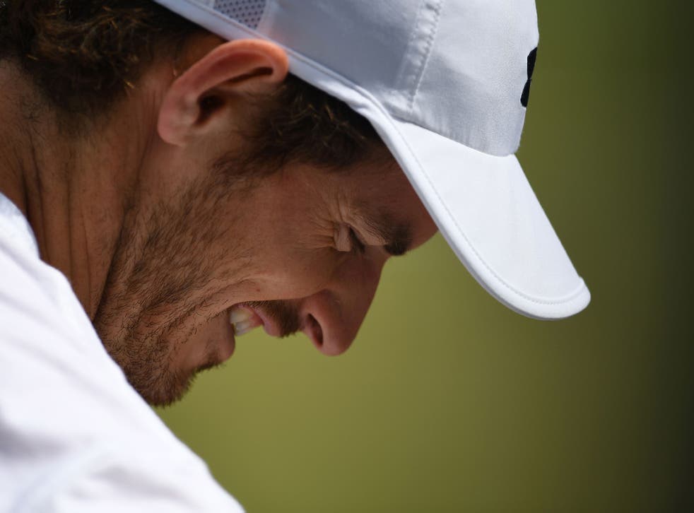 Murray enjoyed himself during a practice session on Saturday