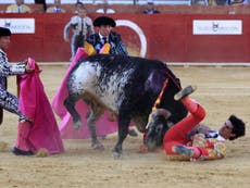 Victor Barrio: ‘My life has gone’ says widow of Spanish bullfighter gored to death in ring 