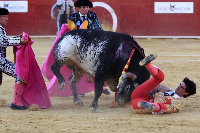 Victor Barrio is gored during the bullfight