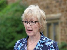 Andrea Leadsom apologises to Theresa May over motherhood comments row