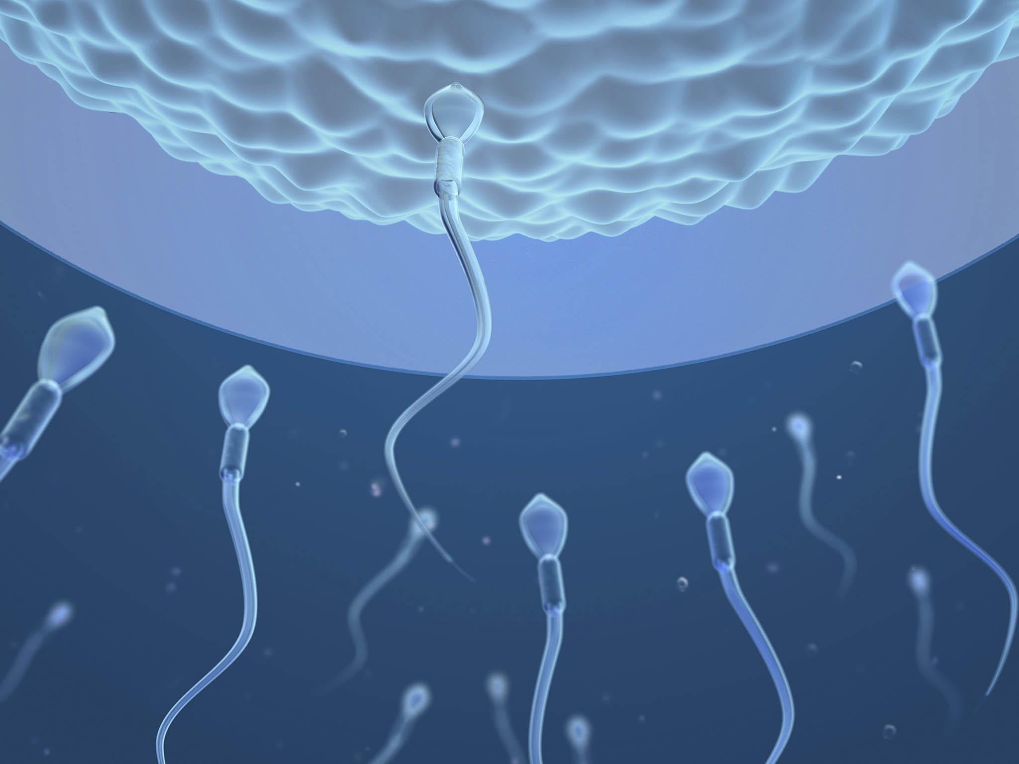 A male contraceptive jab which lowers sperm count has proved 96 per cent effective in a new study