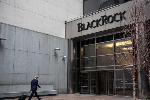 BlackRock took flak for voting against a pair of environmental resolutions aimed at Australian oil companies earlier in the year