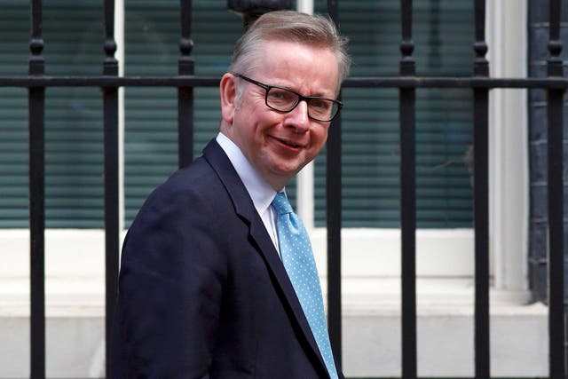 Former Education Secretary Michael Gove made a number of controversial education reforms in 2010