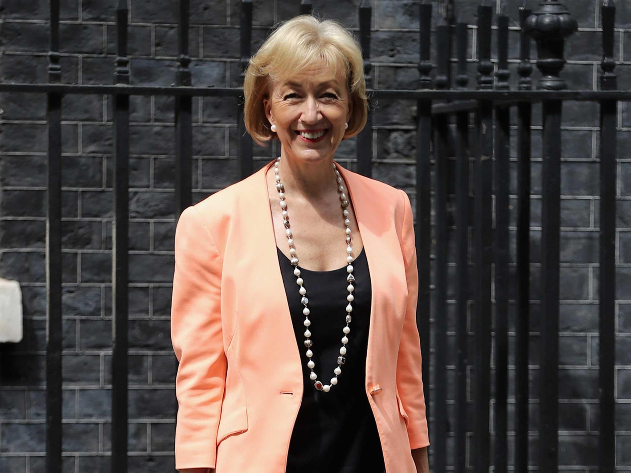 Andrea Leadsom unsuccesfully stood for Tory leader this month