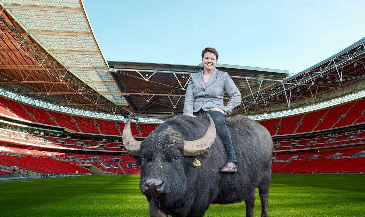 Ruth Davidson goes to Wembley: reproduced by permission of @GeneralBoles