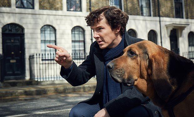 Cumberbatch will be back for another series of the BBC detective drama, expected early next year