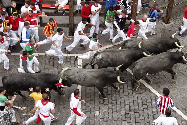 Several 'mozos' or runners are chased by bulls from Miura ranch during the eighth and last bullrun of San Fermin 2016 in Pamplona, northern Spain