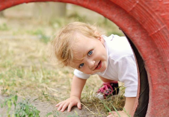 Do you remember playing with the red wheel or do you remember a picture of it?