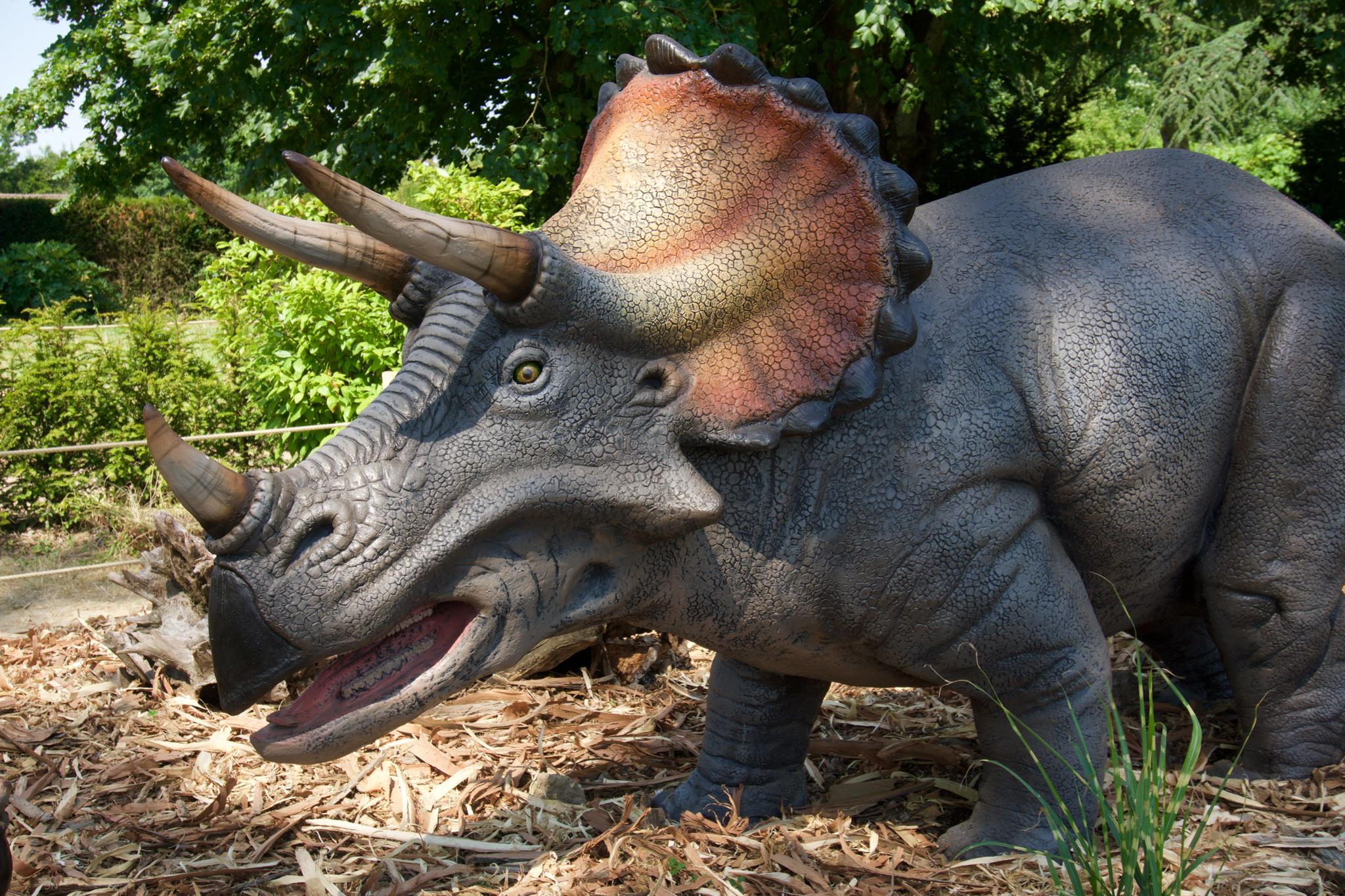 &#13;
Triceratops at Zoorassic Park&#13;